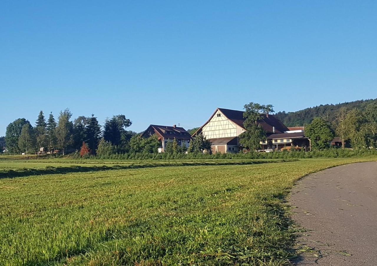 Ferienhof Hanssler Lejlighed Wilhelmsdorf  Eksteriør billede